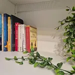 Orchidea Bianca Apartament *