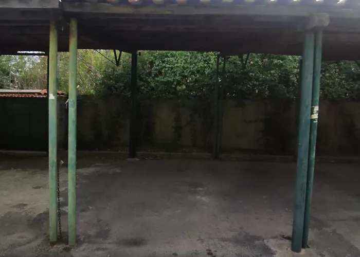 アパート Orchidea Bianca *